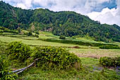 Azzorre - Isola Sao Miguel, Furnas. Nei presso del Lago di Furnas. 